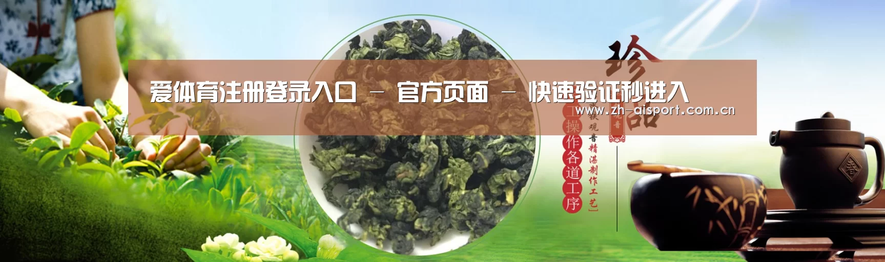 易优Cms-演示站