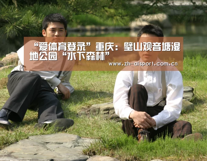 爱体育登录