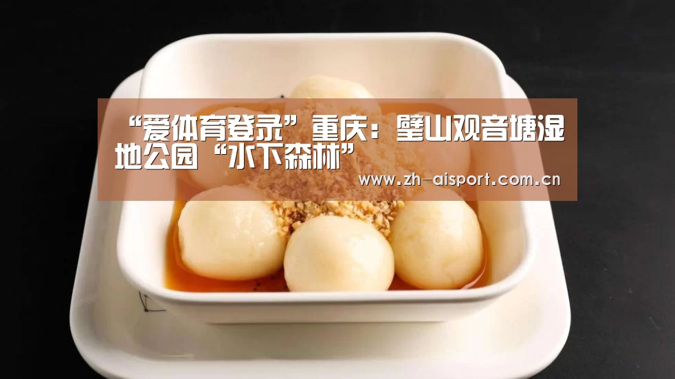 爱体育登录入口
