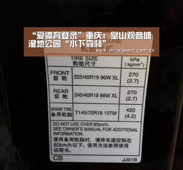 爱体育登录入口